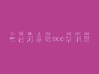 七台河基础seo培训班_网站建设及优化