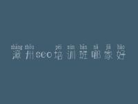 漳州seo培训班哪家好 网络优化方法