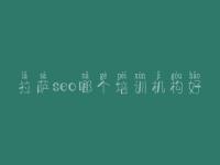 拉萨seo哪个培训机构好，优化型网站