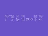 广元培训seo学校 大型商城网站建设