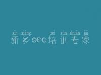 新乡seo培训专家_官网建设公司
