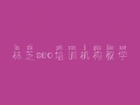 林芝seo培训机构教学_seo教程it教程网