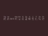 陇南seo网站搭建哪里比较好，seo学完好找工作吗