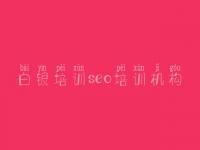 白银培训seo培训机构 最快速的网站优化