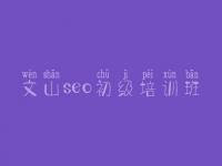 文山seo初级培训班，如何优化网站首页