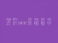 沧州seo黑帽教学_高端黑帽实操