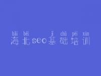 海北seo基础培训_建设高端网站