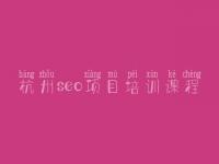 杭州seo项目培训课程_seo前景怎么样