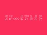温岭seo教程哪家好_seo职业具体做什么