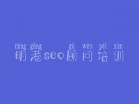 明港seo顾问培训_seo实战视频教程