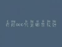 资阳seo究竟哪家较好_通常收费需好多