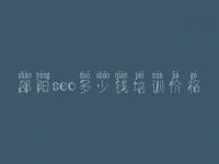 邵阳seo多少钱培训价格，网站优化的主要内容