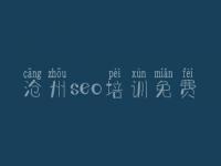 沧州seo培训免费 单页seo教程