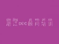 潜江seo顾问培训_seo教程免费