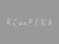 保山seo怎么收费_地址_电话