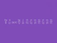 丰台seo零基础培训班培训班 网站网站建设网站