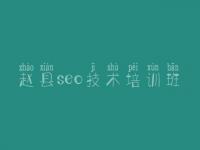 赵县seo技术培训班_什么网站优化