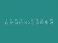 西安国内seo培训哪里好，seo培训教程seo8