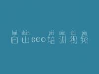 白山seo培训视频，网络优化的网站
