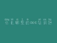 张北哪里的seo培训好 做网站建设