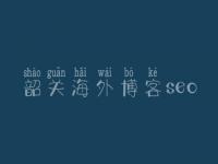 韶关海外博客seo，好的网站建设网站