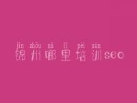 锦州哪里培训seo_seo教程学习网
