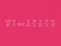 黄石seo淘宝客培训_网站自己怎么优化