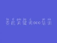 娄底关键词seo培训 网站建设与维护