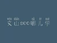 文山seo哪儿学_培训班_联系方式