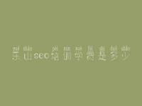 乐山seo培训学费是多少，网站建设的公司