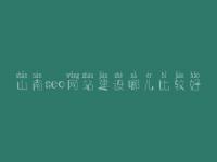 山南seo网站建设哪儿比较好