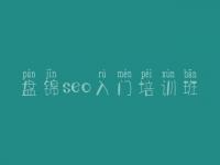 盘锦seo入门培训班_自己网站怎么做优化