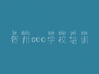 贺州seo学校培训，优化网站推广网站