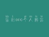 垦利seo个人博客 seo新手入门教程