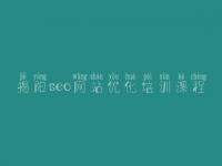 揭阳seo网站优化培训课程 bbs网站建设