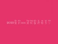 2022儋州seo通常收费要多少_费用_服务