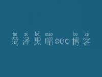 菏泽黑帽seo博客，信息网站优化