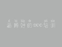 淄博好的seo培训，官网建设公司