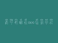 南宁有哪些seo培训学校_网络优化排名公司