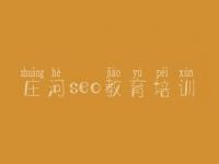 庄河seo教育培训，手机网站优化排名首页
