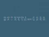 韶关小说专场的seo培训视频 seo教程大全