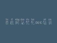 娄底网站优化seo培训 网站建设网站