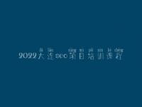 2022大连seo项目培训课程，seo引擎优化怎么赚钱