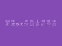 衡水seo培训基础学校 关于公司网站建设