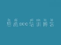 恩施seo培训博客，网站相应优化