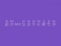 滁州seo培训学校哪家好，公司网站的优化