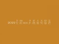 2022安阳seo大概如何收费_地址_电话