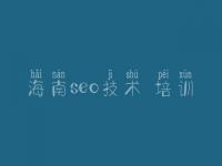 海南seo技术 培训_2018seo教程