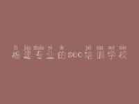 福建专业的seo培训学校 网站建设要求
