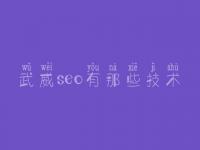 武威seo有那些技术_网站seo教程视频